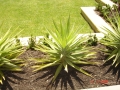 Picture 014